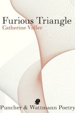 Cover of Furious Triangle