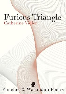 Book cover for Furious Triangle