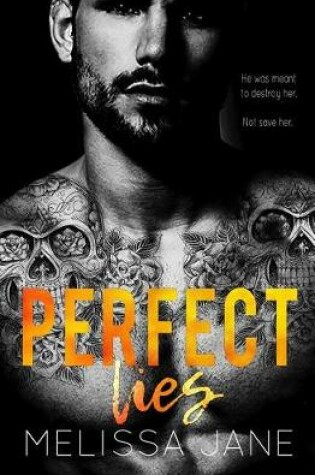 Cover of Perfect Lies