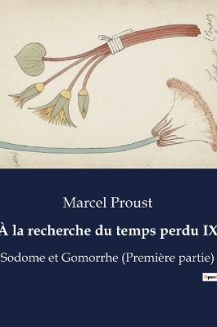 Cover of À la recherche du temps perdu IX