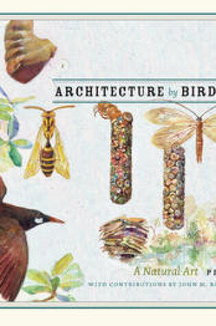 Cover of Architecture by Birds and Insects