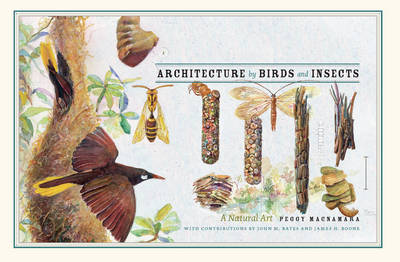 Book cover for Architecture by Birds and Insects