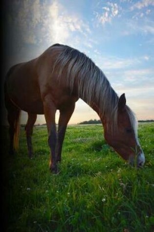 Cover of Grazing Pasture Horse