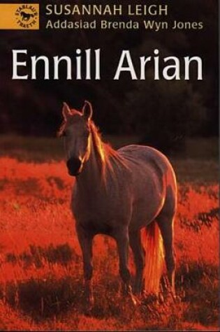 Cover of Cyfres Stablau'r Traeth: Ennill Arian