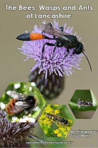 Cover of The Bees, Wasps and Ants of Lancashire