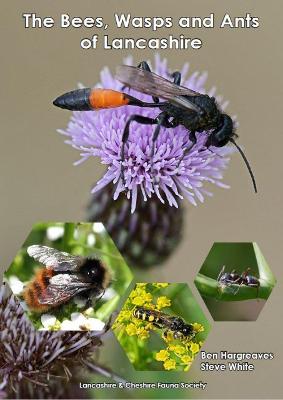 Book cover for The Bees, Wasps and Ants of Lancashire