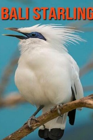 Cover of Bali Starling