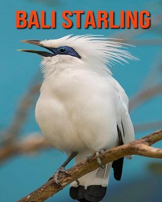 Book cover for Bali Starling