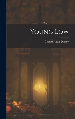 Book cover for Young Low