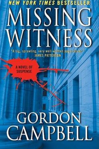 Cover of Missing Witness
