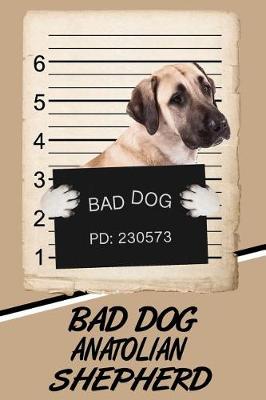 Book cover for Bad Dog Anatolian Shepherd