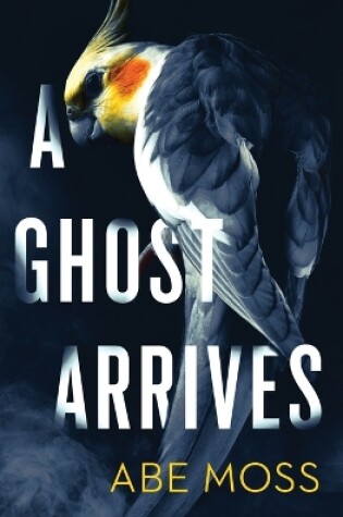 Cover of A Ghost Arrives