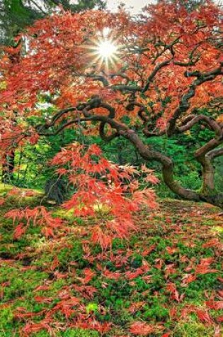 Cover of The Colors of a Japanese Maple Leaves in Autumn