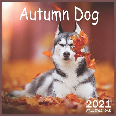 Book cover for Autumn Dog