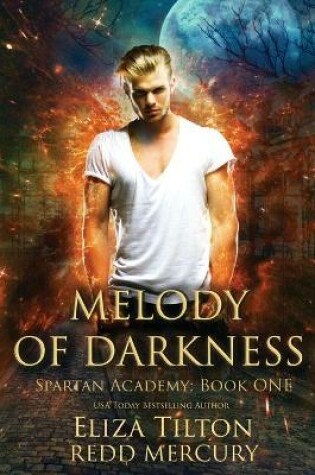 Cover of Melody of Darkness