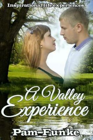 Cover of A Valley Experience