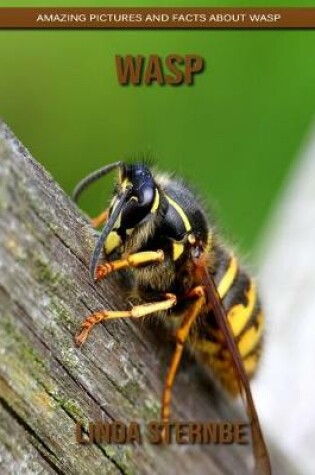 Cover of Wasp