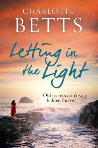 Cover of Letting in the Light