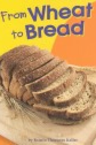 Cover of From Wheat to Bread