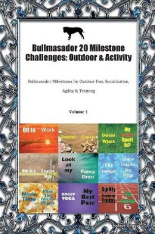 Cover of Bullmasador 20 Milestone Challenges