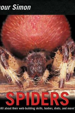 Cover of Spiders