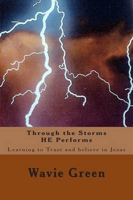 Book cover for Through the Storms He Performs
