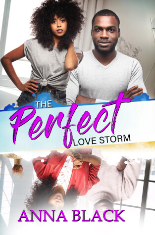 Book cover for The Perfect Love Storm