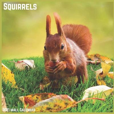 Book cover for Squirrels 2021 Wall Calendar