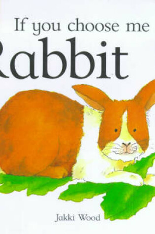 Cover of Rabbit