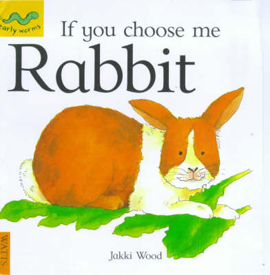 Book cover for Rabbit