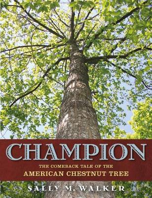 Book cover for Champion