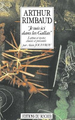 Book cover for "Je suis ici dans les Gallas"