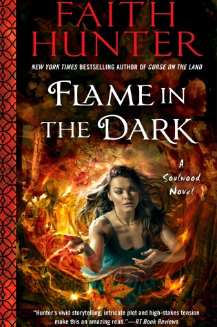 Cover of Flame in the Dark