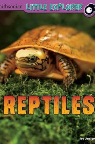 Cover of Reptiles: a 4D Book (Little Zoologist)