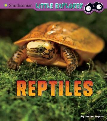 Book cover for Little Zoologist Reptiles a 4D Book