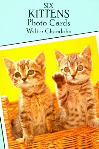 Cover of Six Kittens Photo Postcards