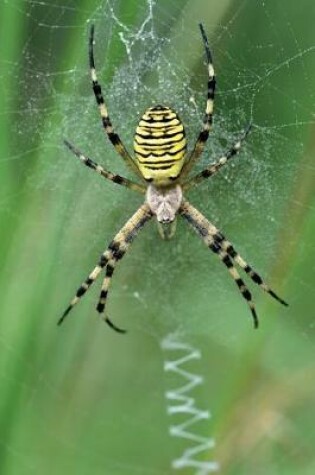 Cover of Wasp Spider (Argiope Bruennichi) On a Web Journal