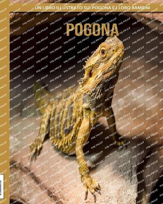 Book cover for Pogona