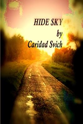 Book cover for Hide Sky