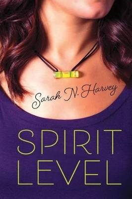 Book cover for Spirit Level