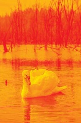 Cover of Swan on the Lake in Orange, Birds of the World