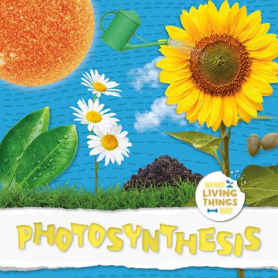 Book cover for Photosynthesis