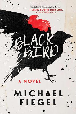 Book cover for Blackbird