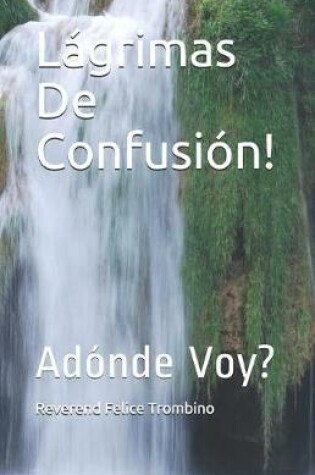 Cover of Lagrimas de Confusion!