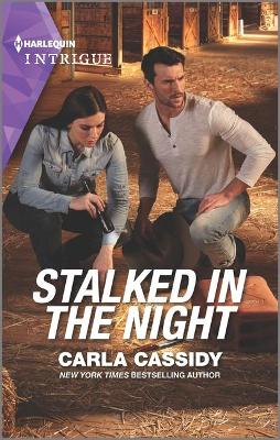 Cover of Stalked in the Night