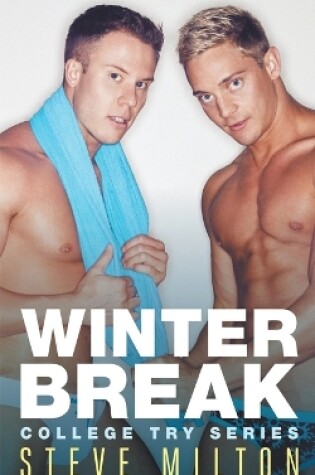 Cover of Winter Break