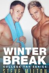 Book cover for Winter Break