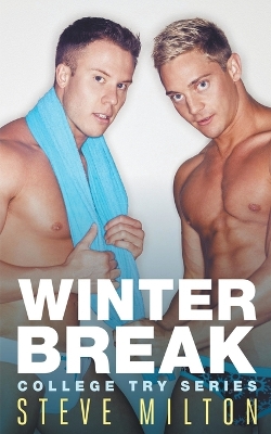 Book cover for Winter Break