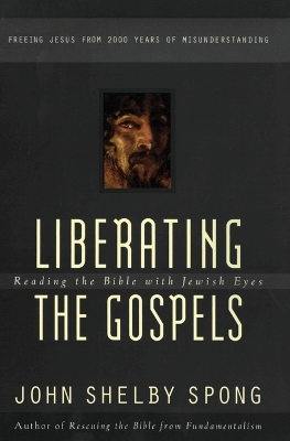 Book cover for Liberating the Gospels