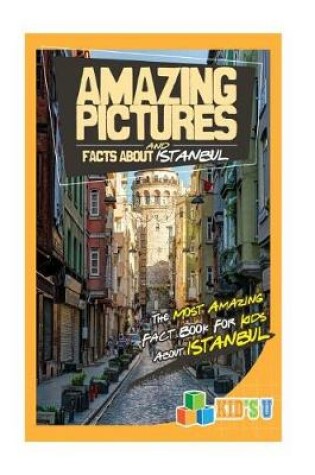 Cover of Amazing Pictures and Facts about Istanbul